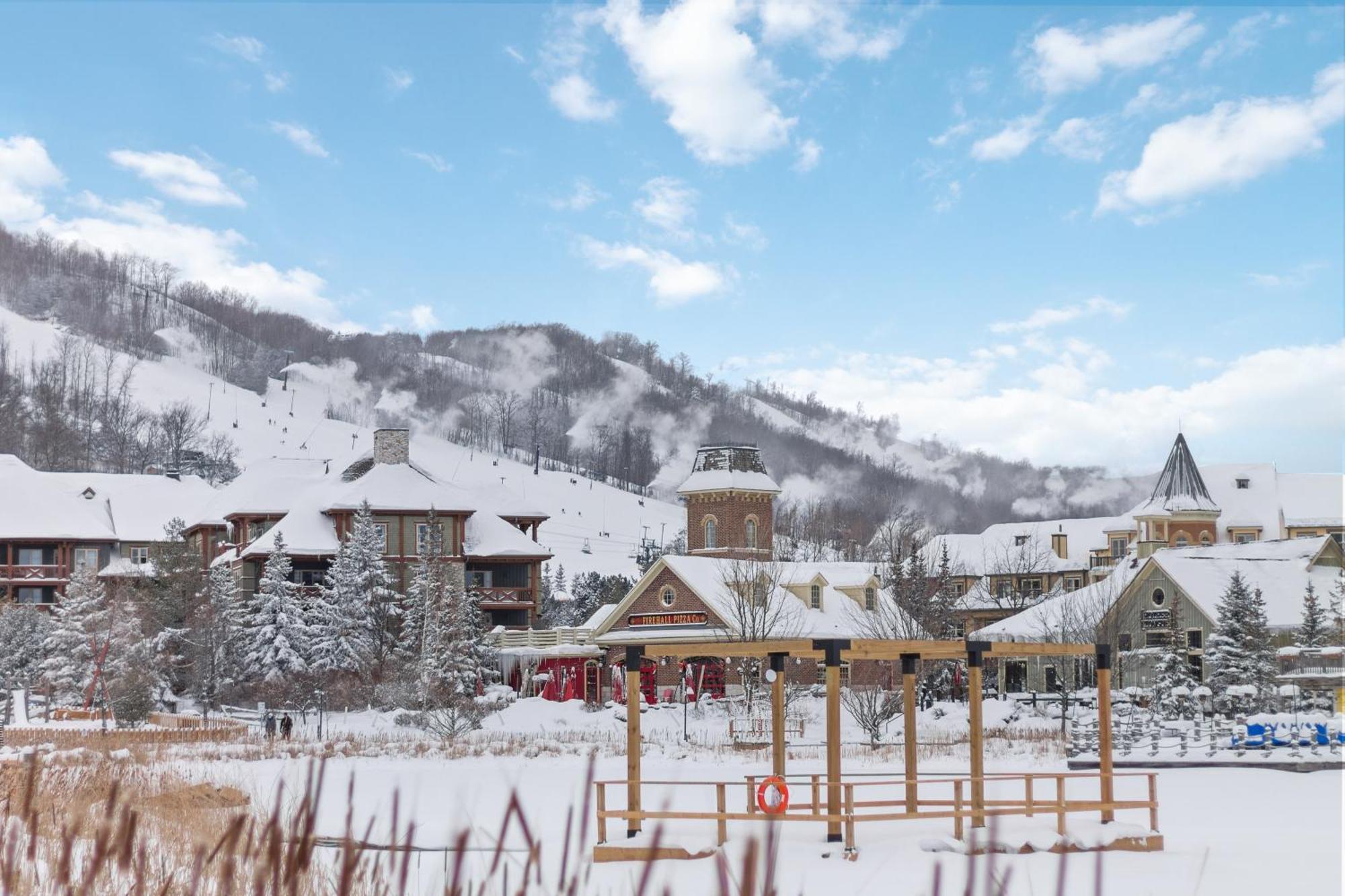 Lovely 3 Bedroom Wintergreen Retreat W Sauna Блу-Маунтинс Экстерьер фото
